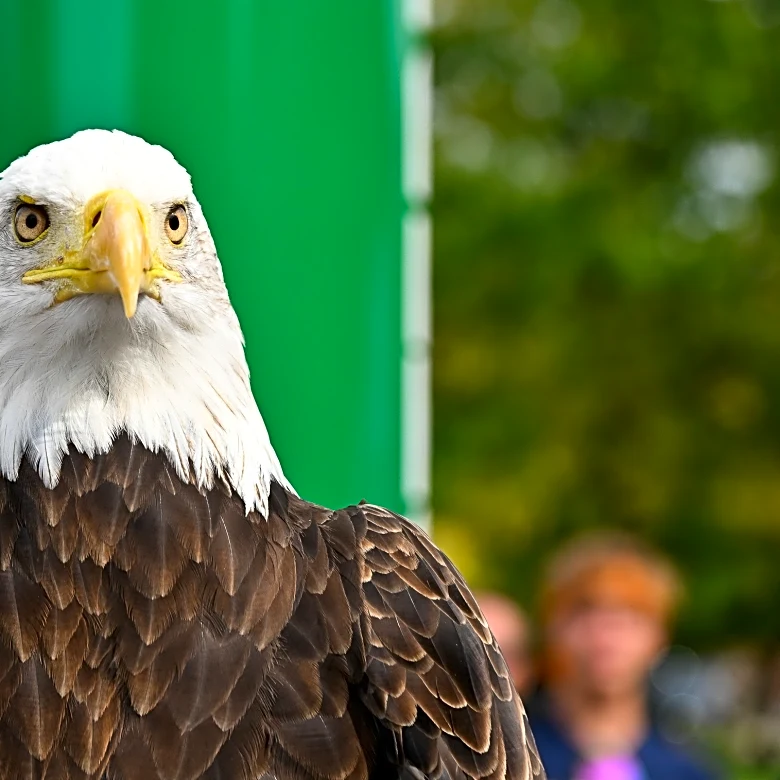 Marquette Women’s Lacrosse Preview: vs Eastern Michigan & vs Cincinnati