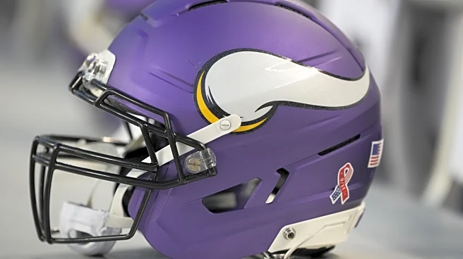 Vikings Bring In Some Front Office Help