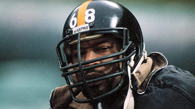 Steelers great LC Greenwood left out of another HOF class