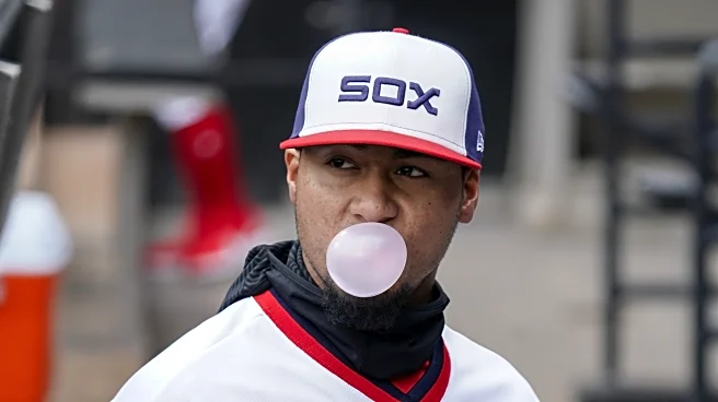 Whither Lenyn Sosa, White Sox?