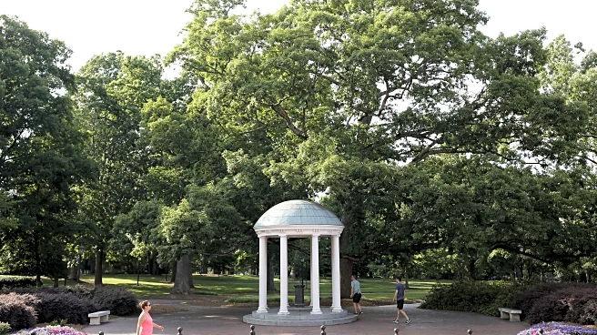 A Carolina Gal Through and Through