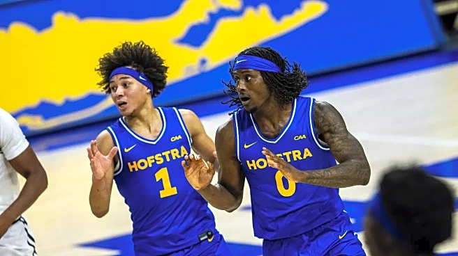 Healthy Hofstra makes Towson look sick