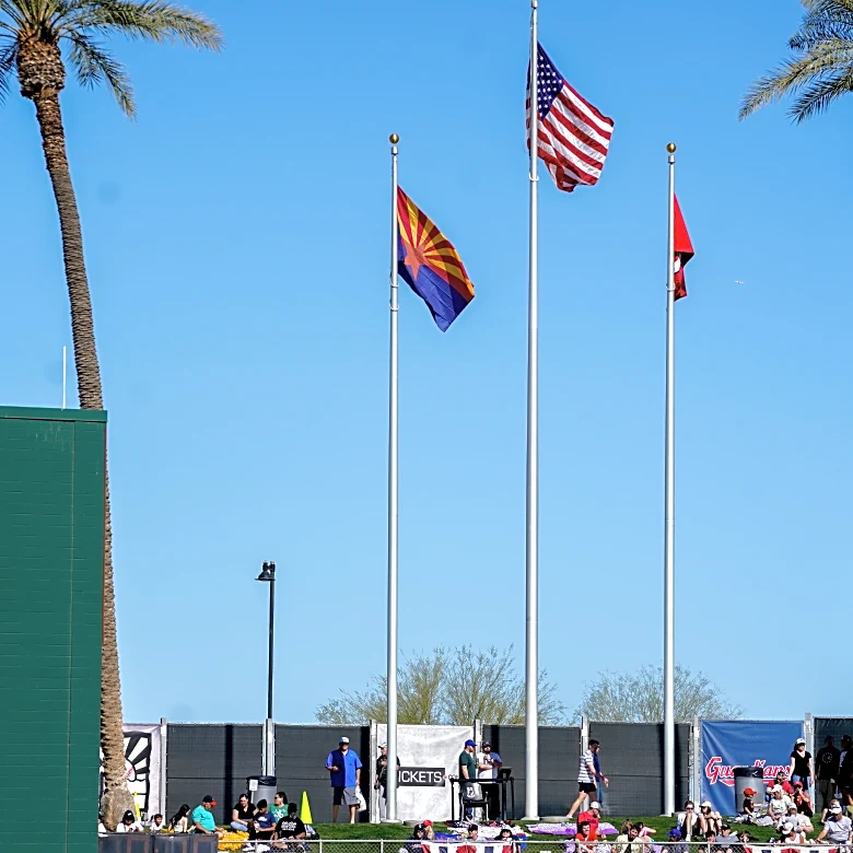 Snake Bytes 2/8: Superb Owl