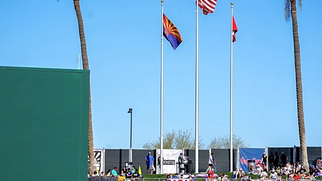 Snake Bytes 2/8: Superb Owl