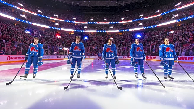 Avalanche Trade Deadline Shopping List