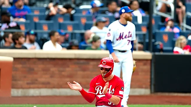 Tyler Stephenson wins arbitration case against Cincinnati Reds