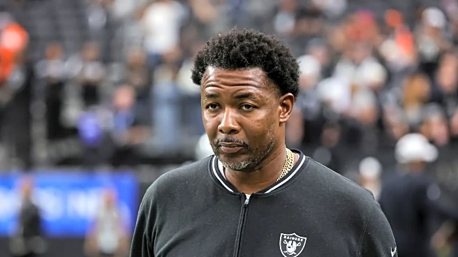 What are the Steelers getting with former Raiders defensive coordinator Patrick Graham?