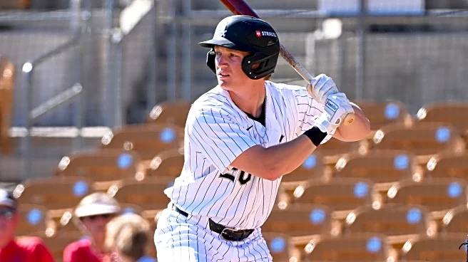 2026 South Side Sox Prospect Vote: Round 37 (final round)