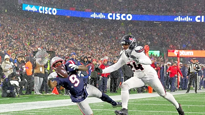 2025 NFLSU Season in Review