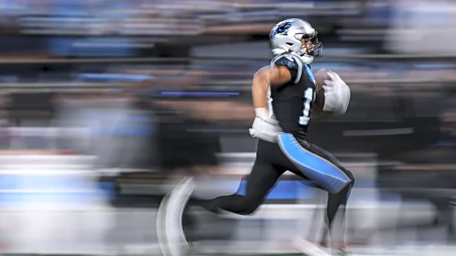 Adding Teeth to the Bite: Panthers Roster Holes at Wide Receiver