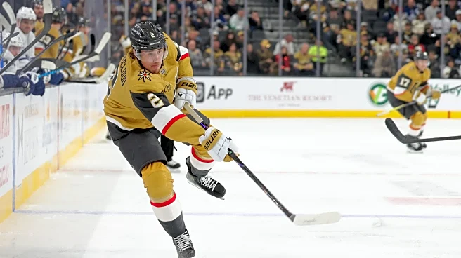 Looking at potential defense additions for Pittsburgh Penguins