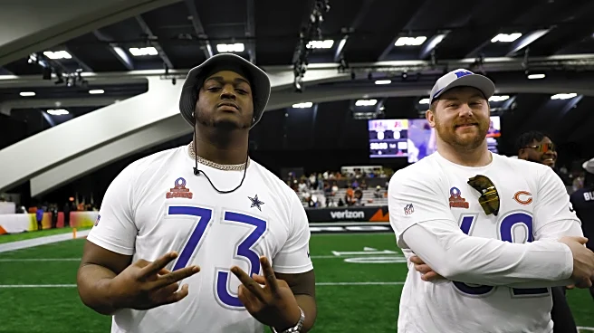 The Bear’s Den, February XIII, 2025