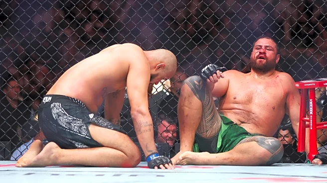 The Great Divide: Should the UFC scrap its heavyweight division?