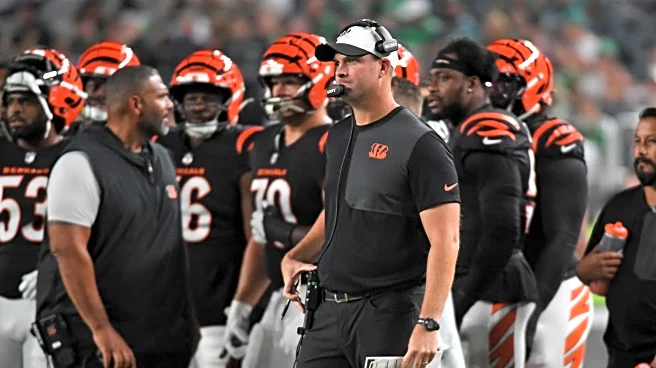 2026 Cincinnati Bengals coaching staff set