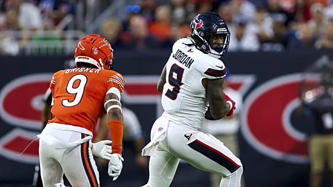 Houston Texans Position Outlook: Tight End