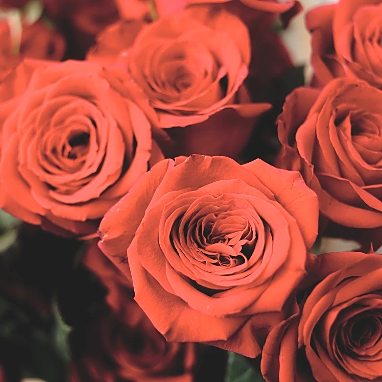 The Weekend Mauling: 2/14/26