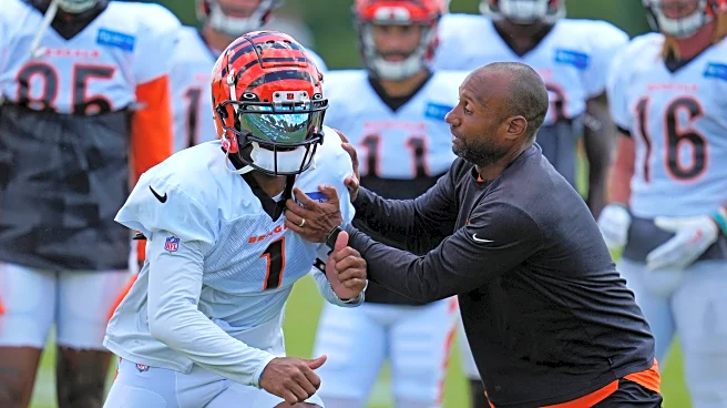 HOFer Tony Dungy Sees a Future Head Coach in Bengals WR Coach Troy Walters