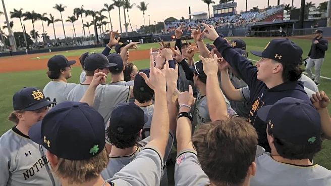 Notre Dame Baseball: Irish drop season opener to FAU, 7-1