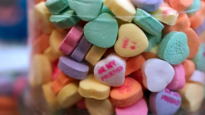 Purple Row After Dark: Who’s your favorite Rockie heading into 2026?