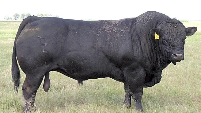 What’s That Doing Here?