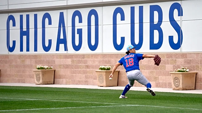 A brief visit to a Cubs spring workout, and comments from Tom Ricketts