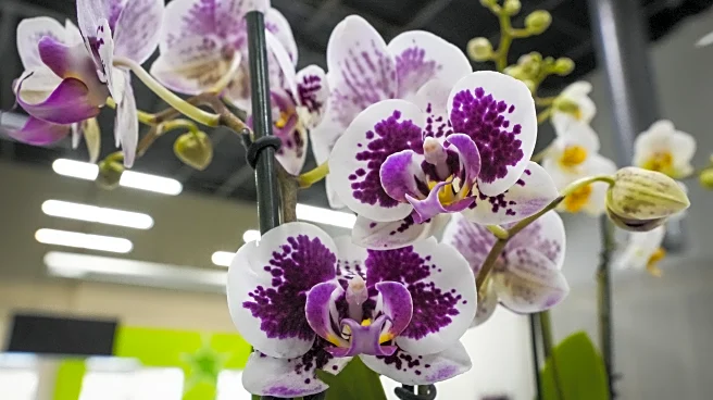 The Hoddle of Coffee: Tottenham Hotspur news and links for Tuesday, February 17