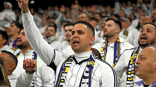 Which fanbase do you have an irrational dislike for?