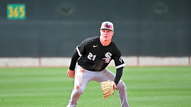 Quantity meets volatility: What FanGraphs’ new rankings say about the White Sox’s future
