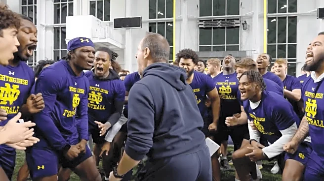 Which Notre Dame Football newcomer are you most excited to see this spring?