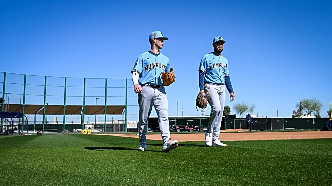 The option status of the Brewers’ roster in spring training