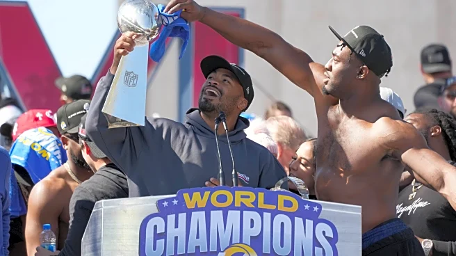 Robert Woods retires with the Rams