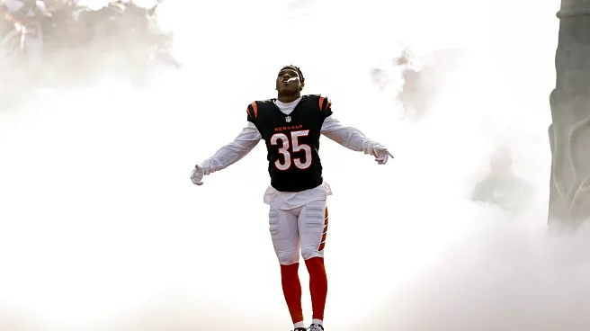 Bengals News (2/18): Jalen Davis Returns