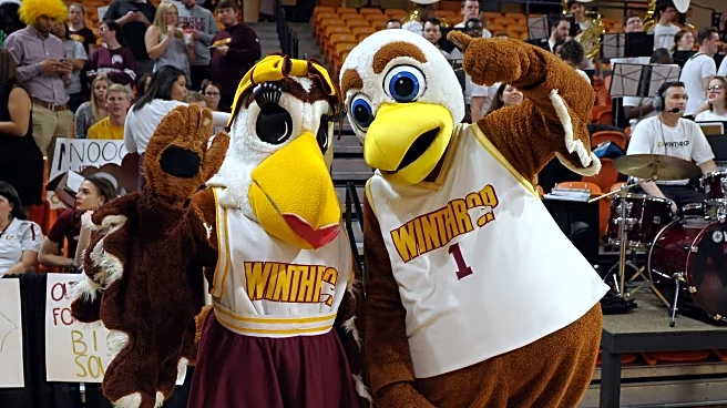 Pack9 Opponent Preview: Winthrop