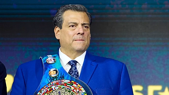 WBC reveals new diamond chain for champions