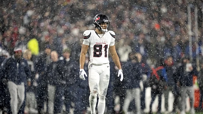 Houston Texans: Final Rookie Grades of 2025 Season