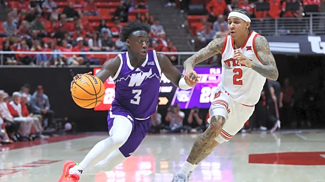 Weber State’s Tijane Saine Jr. Continues To Make Strides at D-I Level