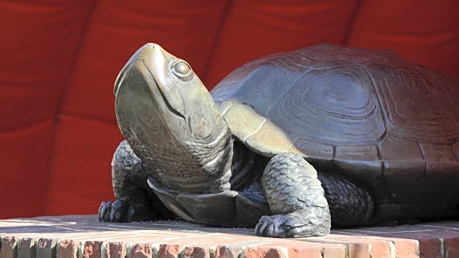 No. 2 Maryland men’s lacrosse vs. No. 12 Princeton preview