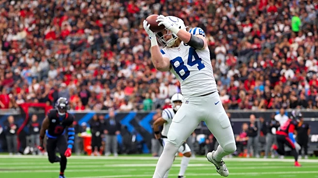 Position Mastery: Evaluating Tight Ends