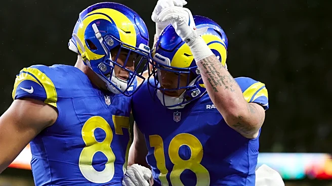 Is tight end an underrated need for Rams this offseason?