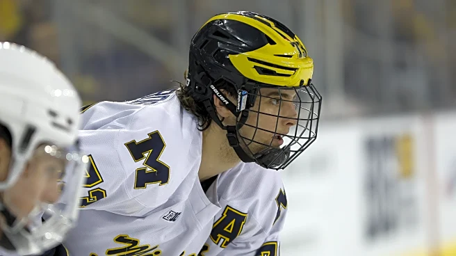 No. 2 Michigan Hockey preps for final road series at No. 13 Wisconsin