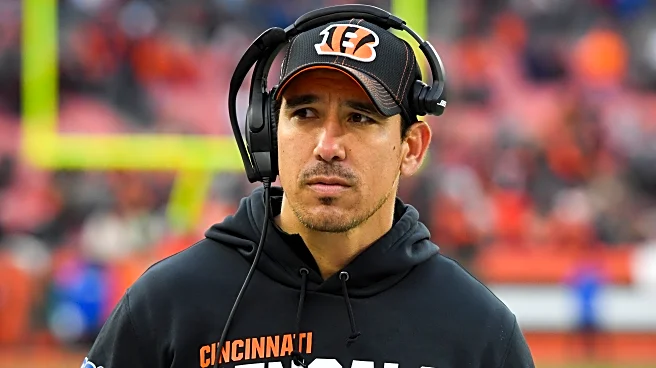 Bengals News (2/20): Rise of James Casey