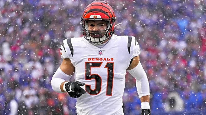 Report: Colts work out ex-Bengals linebacker under DC Lou Anarumo