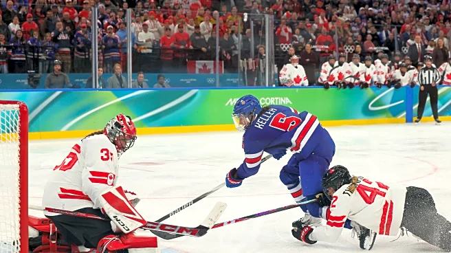 What’s your favorite Winter Olympics sport?