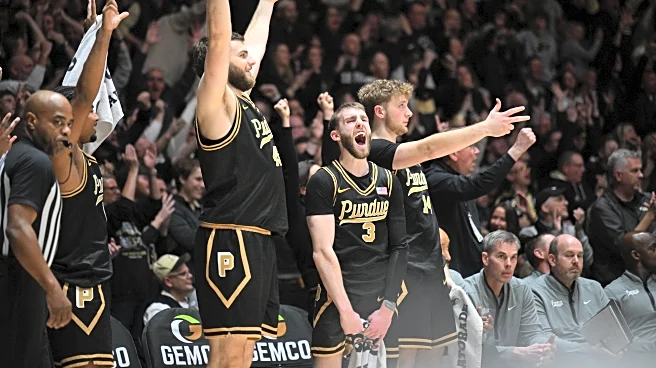 Purdue Fan Survey Results – Men’s Basketball Stretch Run
