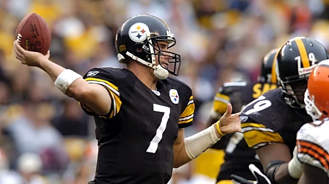 How did you become a Steelers fan?