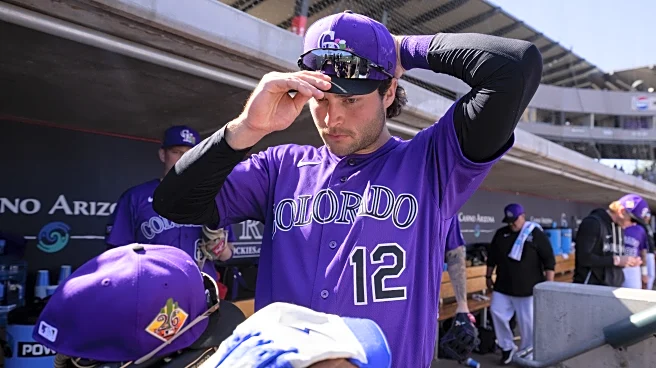 Purple Row After Dark: What alternate jobs would the Rockies have?