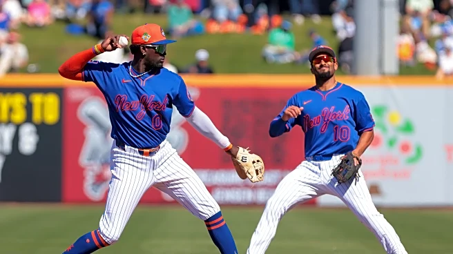 Grapefruit Juice: Mets 6, Astros 6