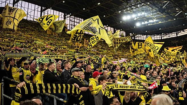 The Daily Bee: BVB Ultras’ Bergamo Boycott