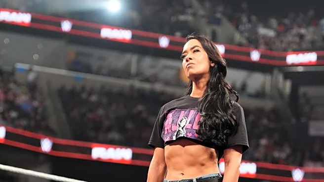 AJ Lee is nervous for Elimination Chamber