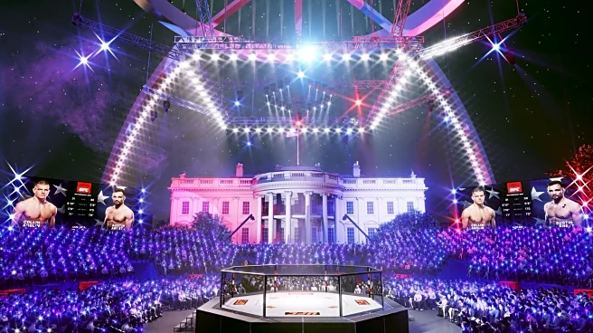 UFC to spend ‘as much as $60 million’ to put on UFC White House this year